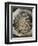 Bouquet dans une loge-Pierre-Auguste Renoir-Framed Giclee Print