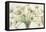 Bouquet di anemoni-Eva Barberini-Framed Stretched Canvas