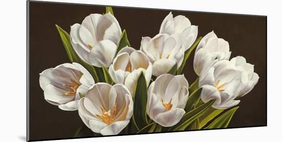 Bouquet di tulipani-Serena Biffi-Mounted Art Print