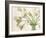 Bouquet di tulipani-Eva Barberini-Framed Art Print