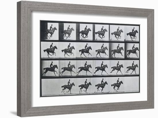 Bouquet, Galloping, Eadward Muybridge-Eadweard Muybridge-Framed Art Print