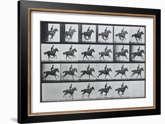 Bouquet, Galloping, Eadward Muybridge-Eadweard Muybridge-Framed Art Print