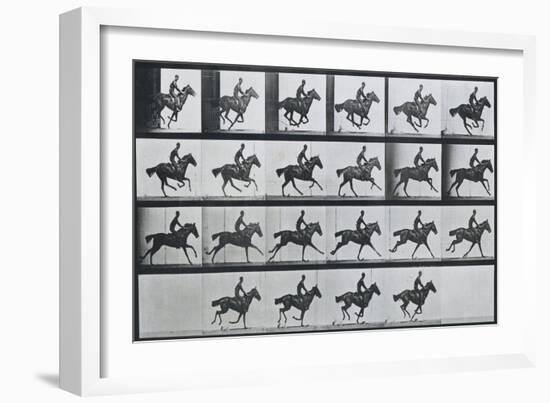 Bouquet, Galloping, Eadward Muybridge-Eadweard Muybridge-Framed Art Print