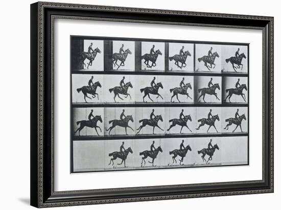 Bouquet, Galloping, Eadward Muybridge-Eadweard Muybridge-Framed Art Print