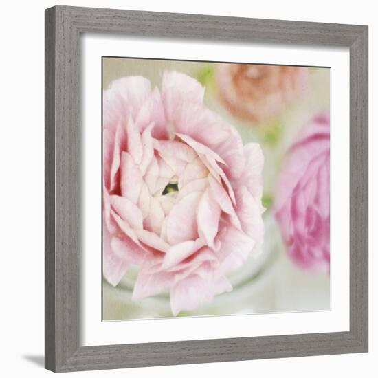 Bouquet I-Shana Rae-Framed Giclee Print