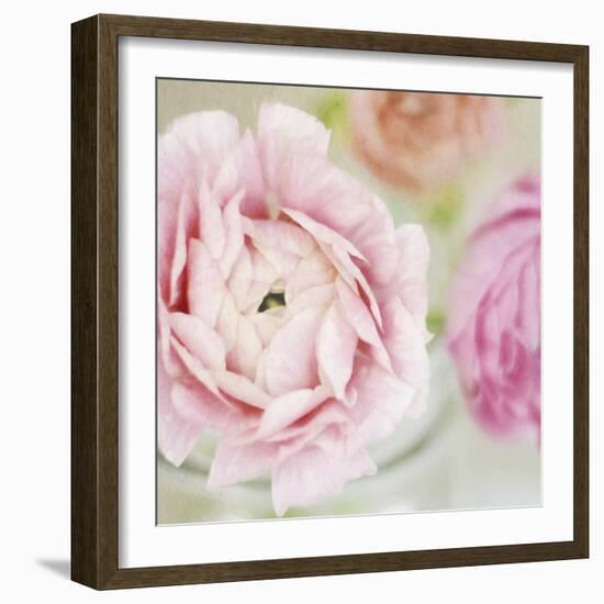 Bouquet I-Shana Rae-Framed Giclee Print