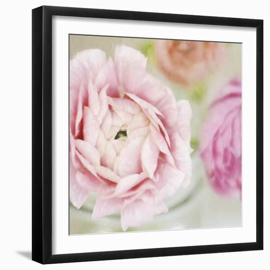 Bouquet I-Shana Rae-Framed Giclee Print