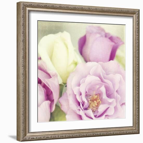 Bouquet II-Shana Rae-Framed Giclee Print