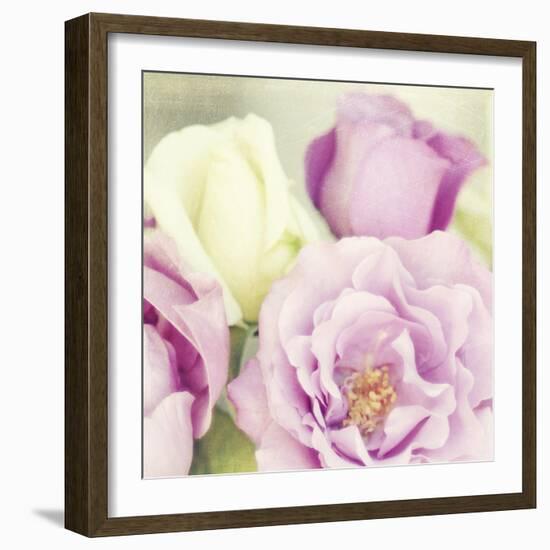 Bouquet II-Shana Rae-Framed Giclee Print