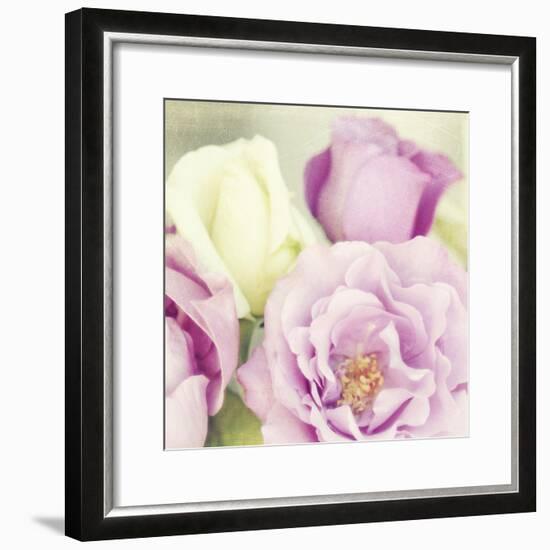 Bouquet II-Shana Rae-Framed Giclee Print