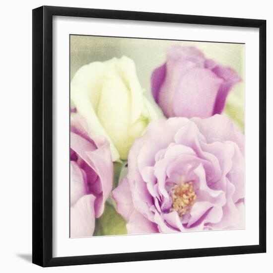 Bouquet II-Shana Rae-Framed Giclee Print