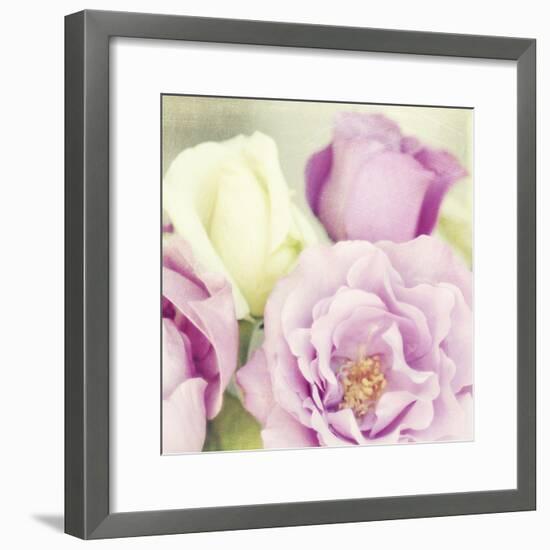 Bouquet II-Shana Rae-Framed Giclee Print