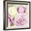 Bouquet II-Shana Rae-Framed Giclee Print