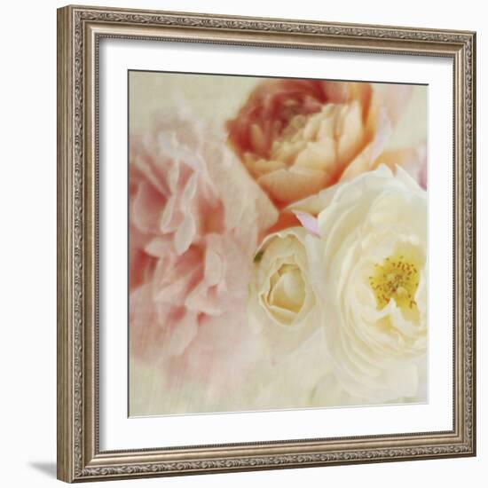 Bouquet III-Shana Rae-Framed Giclee Print