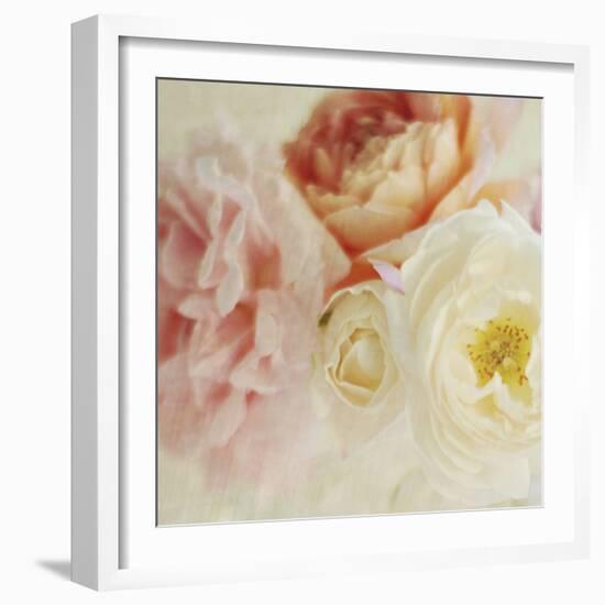 Bouquet III-Shana Rae-Framed Giclee Print