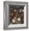 Bouquet In A Glass Vase-Pieter Bruegel the Elder-Framed Giclee Print