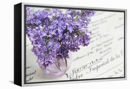 Bouquet, Lilac, Flowers, Purple, Violet, Vase, Spring-Andrea Haase-Framed Premier Image Canvas