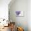 Bouquet, Lilac, Flowers, Purple, Violet, Vase, Spring-Andrea Haase-Photographic Print displayed on a wall