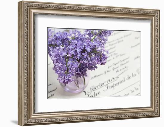 Bouquet, Lilac, Flowers, Purple, Violet, Vase, Spring-Andrea Haase-Framed Photographic Print