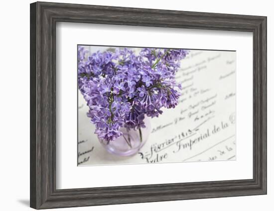 Bouquet, Lilac, Flowers, Purple, Violet, Vase, Spring-Andrea Haase-Framed Photographic Print