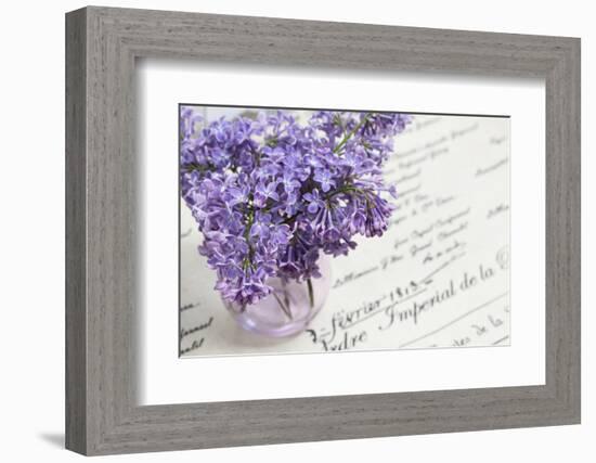 Bouquet, Lilac, Flowers, Purple, Violet, Vase, Spring-Andrea Haase-Framed Photographic Print