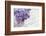 Bouquet, Lilac, Flowers, Purple, Violet, Vase, Spring-Andrea Haase-Framed Photographic Print