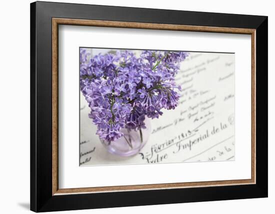 Bouquet, Lilac, Flowers, Purple, Violet, Vase, Spring-Andrea Haase-Framed Photographic Print