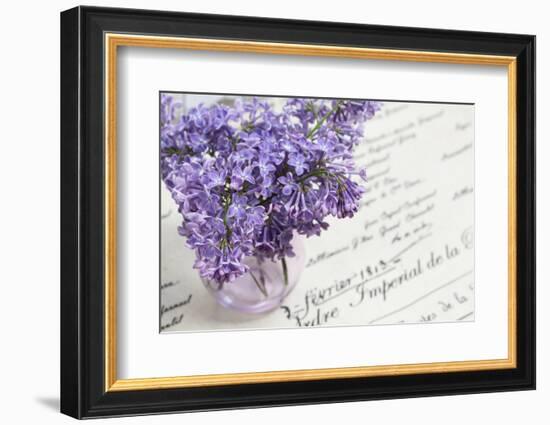 Bouquet, Lilac, Flowers, Purple, Violet, Vase, Spring-Andrea Haase-Framed Photographic Print