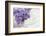 Bouquet, Lilac, Flowers, Purple, Violet, Vase, Spring-Andrea Haase-Framed Photographic Print