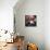 Bouquet Noir I-Annie Warren-Premium Giclee Print displayed on a wall