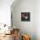 Bouquet Noir II-Annie Warren-Framed Stretched Canvas displayed on a wall