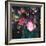 Bouquet Noir II-Annie Warren-Framed Art Print