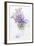 Bouquet of a Lilac-Es75-Framed Premium Giclee Print