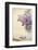 Bouquet of a Lilac-Es75-Framed Photographic Print