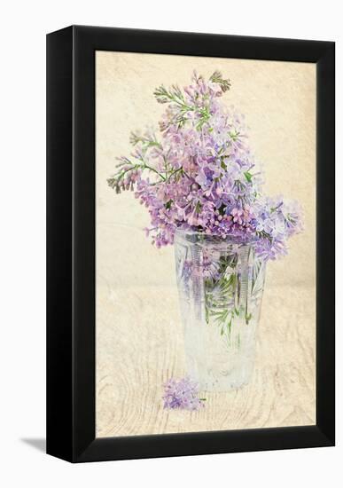 Bouquet of a Lilac-Es75-Framed Stretched Canvas