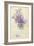 Bouquet of a Lilac-Es75-Framed Art Print