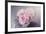 Bouquet of Blooms-Sarah Gardner-Framed Photo