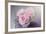 Bouquet of Blooms-Sarah Gardner-Framed Photo