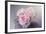 Bouquet of Blooms-Sarah Gardner-Framed Photo