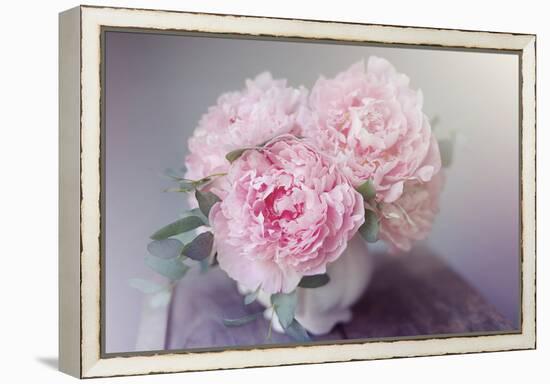 Bouquet of Blooms-Sarah Gardner-Framed Stretched Canvas