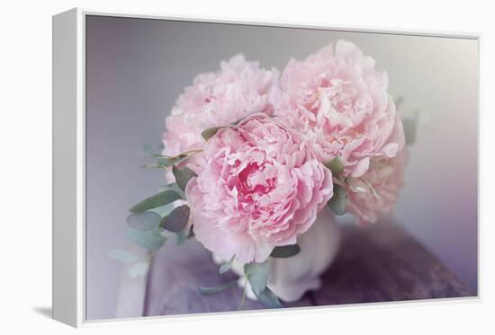 Bouquet of Blooms-Sarah Gardner-Framed Stretched Canvas