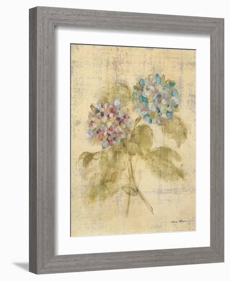 Bouquet of Blue Hydrangea-Cheri Blum-Framed Art Print