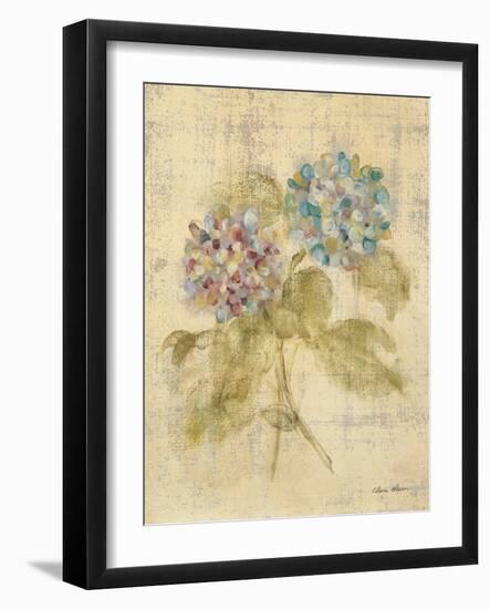 Bouquet of Blue Hydrangea-Cheri Blum-Framed Art Print