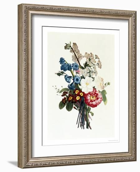 Bouquet of Camellia and Auricula-Jean Louis Prevost-Framed Giclee Print