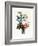 Bouquet of Camellia and Auricula-Jean Louis Prevost-Framed Giclee Print