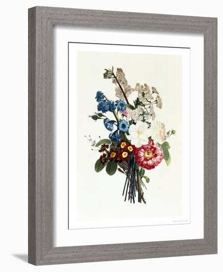 Bouquet of Camellia and Auricula-Jean Louis Prevost-Framed Giclee Print