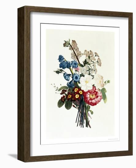 Bouquet of Camellia and Auricula-Jean Louis Prevost-Framed Giclee Print