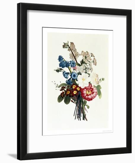 Bouquet of Camellia and Auricula-Jean Louis Prevost-Framed Giclee Print