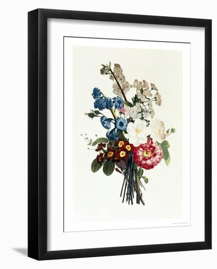 Bouquet of Camellia and Auricula-Jean Louis Prevost-Framed Giclee Print