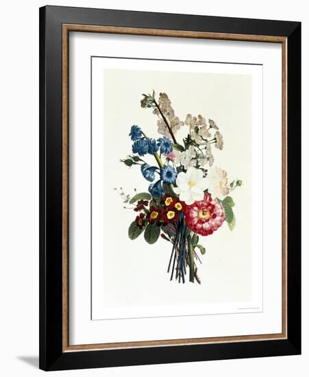 Bouquet of Camellia and Auricula-Jean Louis Prevost-Framed Giclee Print